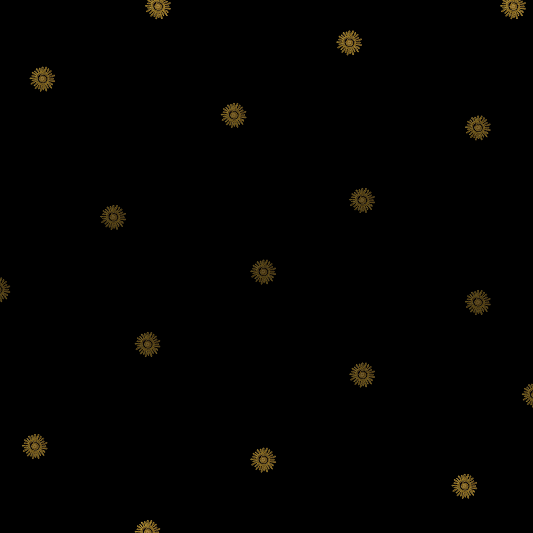 Noor Al-Shams (Light of the Sun) -  ANNADA Silk & Zari Threads — 2nd Edition